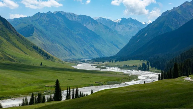 公司治理獲高度認(rèn)可！奇正藏藥入選中上協(xié)“最佳實(shí)踐案例”