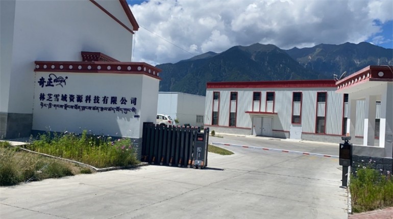 奇正中藥·林芝雪域資源科技有限公司簡(jiǎn)介